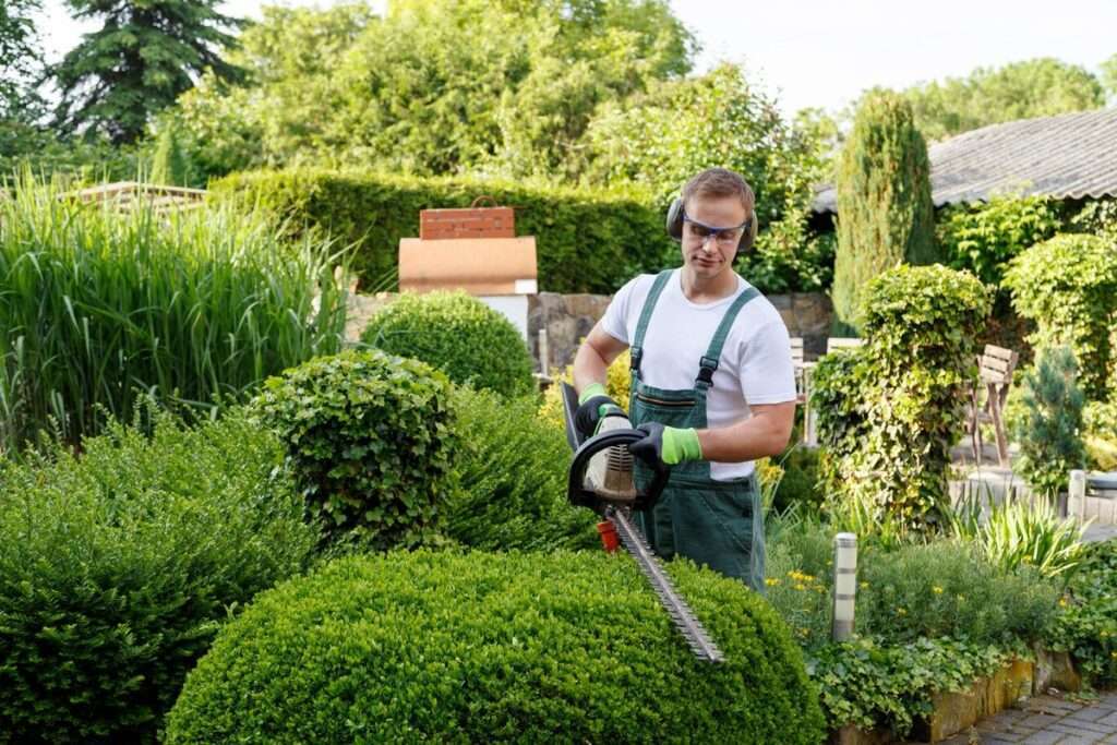 Lawn Mowing, Lawn Care Services Surrey – Jawanda Group