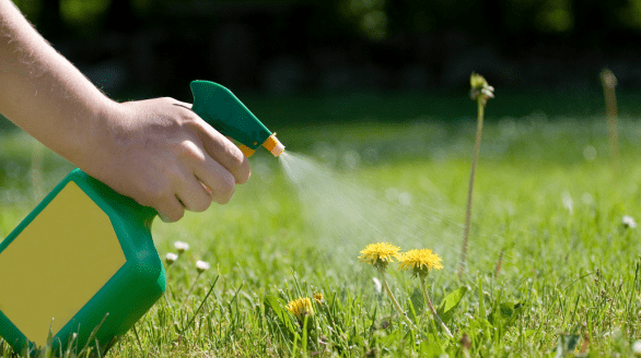 Garden Weeding, Jawanda Group Landscaping & Home Services in Metro Vancouver, BC