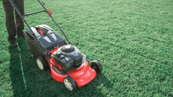 Grass Cutting, Lawn Mowing Jawanda Group Landscaping & Home Services in Metro Vancouver, BC