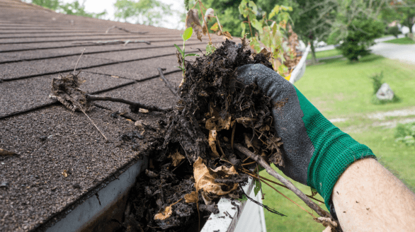 Gutter Cleaning, Jawanda Group Landscaping & Home Services in Metro Vancouver, BC