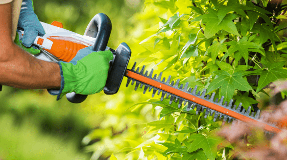 Hedge Trimming, Jawanda Group Landscaping & Home Services in Metro Vancouver, BC