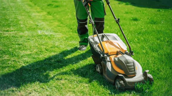 Lawn Mowing, Grass Cutting, jawanda group lower mainland,bc