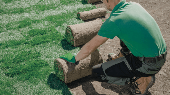 Sod Installation, Jawanda Group Landscaping & Home Services in Metro Vancouver, BC