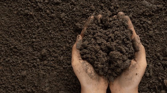 Soil, Jawanda Group Landscaping & Home Services in Metro Vancouver, BC