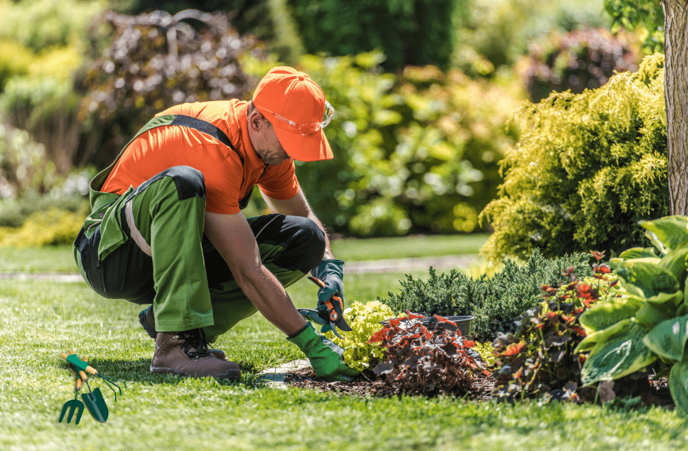 jawanda group gardening service, lower mainland